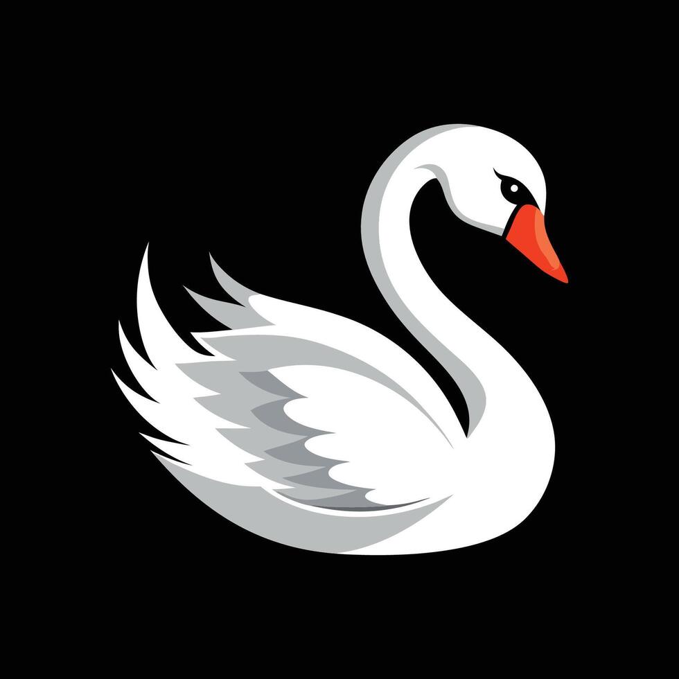 A white swan on a black background vector