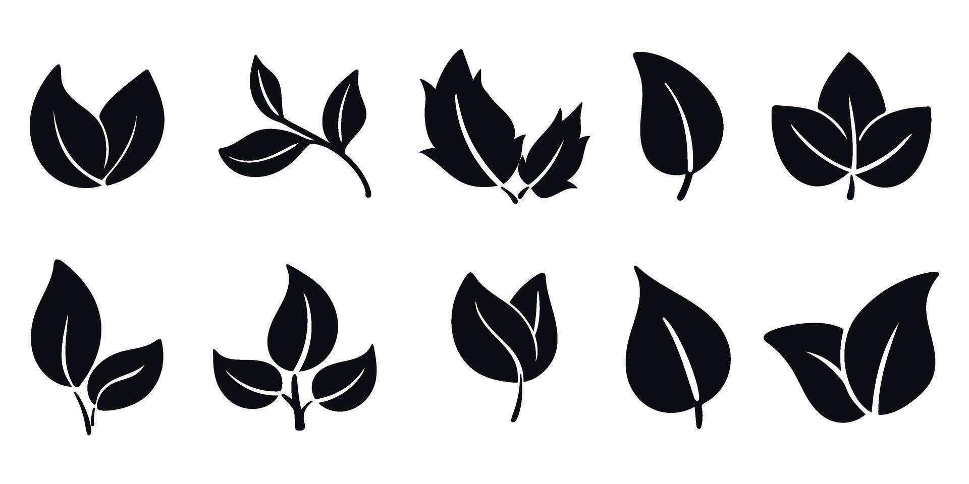 Leaves icons set. Black silhouette of foliage and leaflets vector