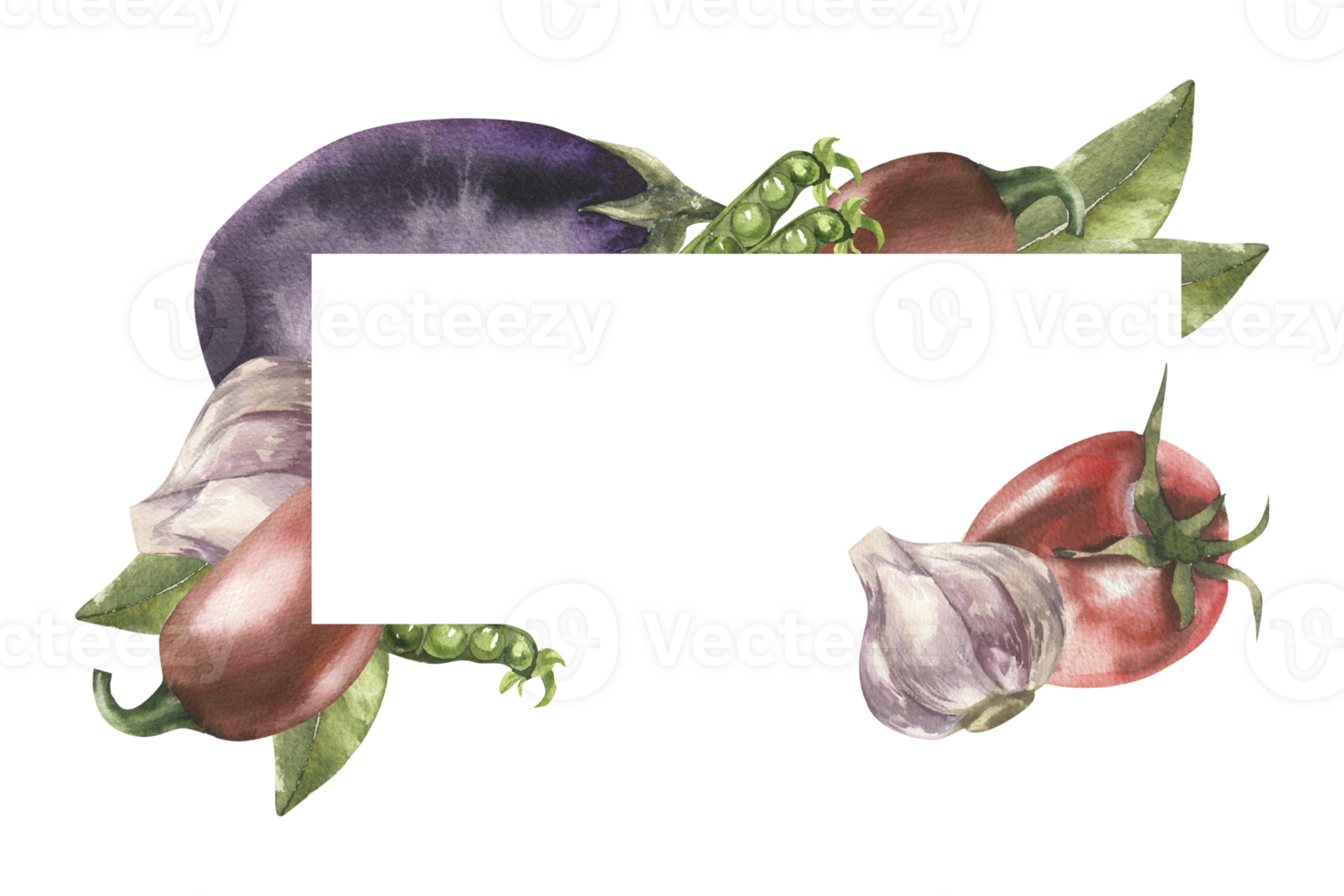 Fresh vegetables banner with copy space watercolor illustration. Vegan food isolated frame with eggplant, pepper,tomato, garlic and bay leaves for menu,packing, label,logo design png