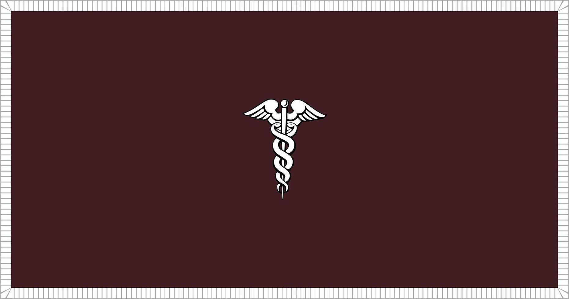 Surgeon General of the United States Army With Fringe Flag Illustration Premium Quality vector