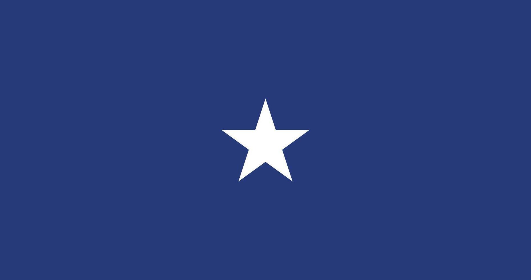 United States Air Force Brigadier General Flag Illustration Premium Quality vector