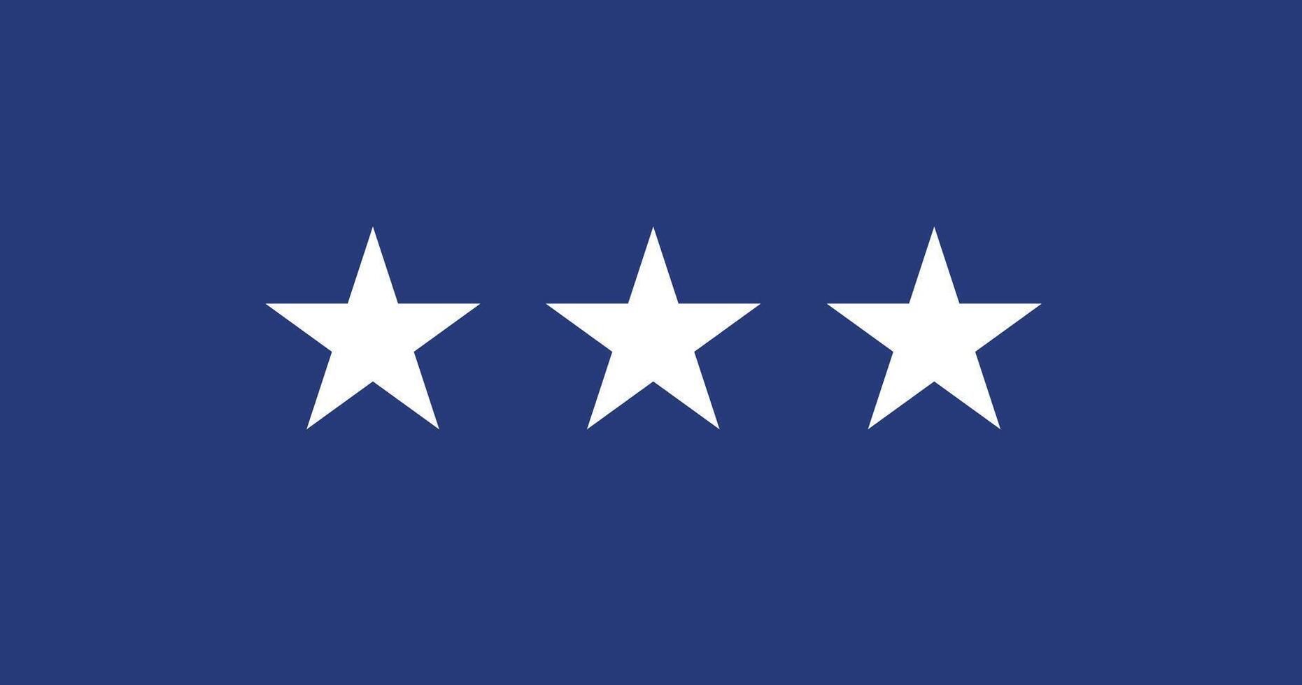 United States Air Force Lieutenant General Flag Illustration Premium Quality vector
