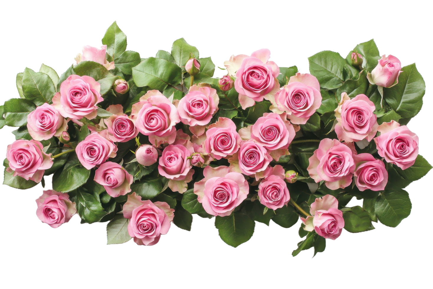 Rose Floral Arrangement Decorative Border png