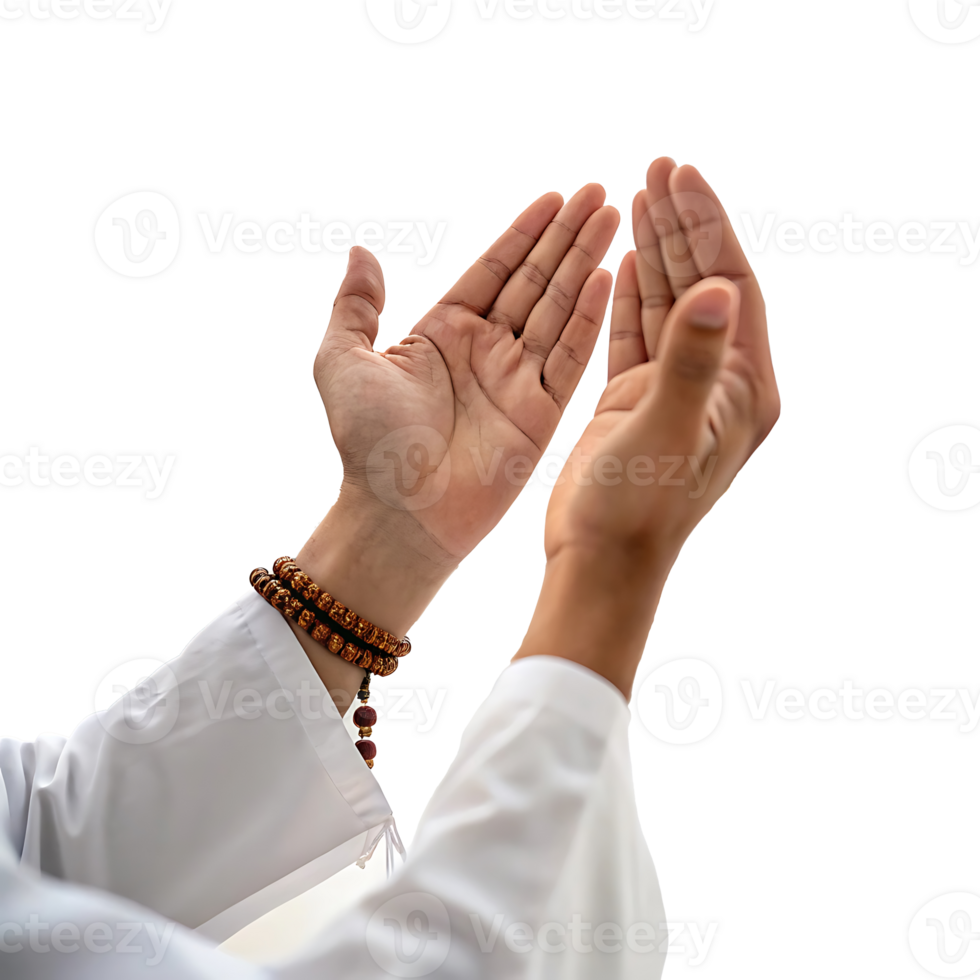 Muslim Hands in Dua, Islamic Worship and Devotion png