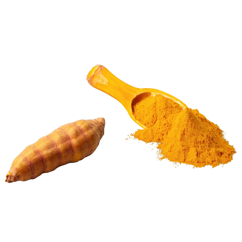 Turmeric root and its vibrant, powdered form. png