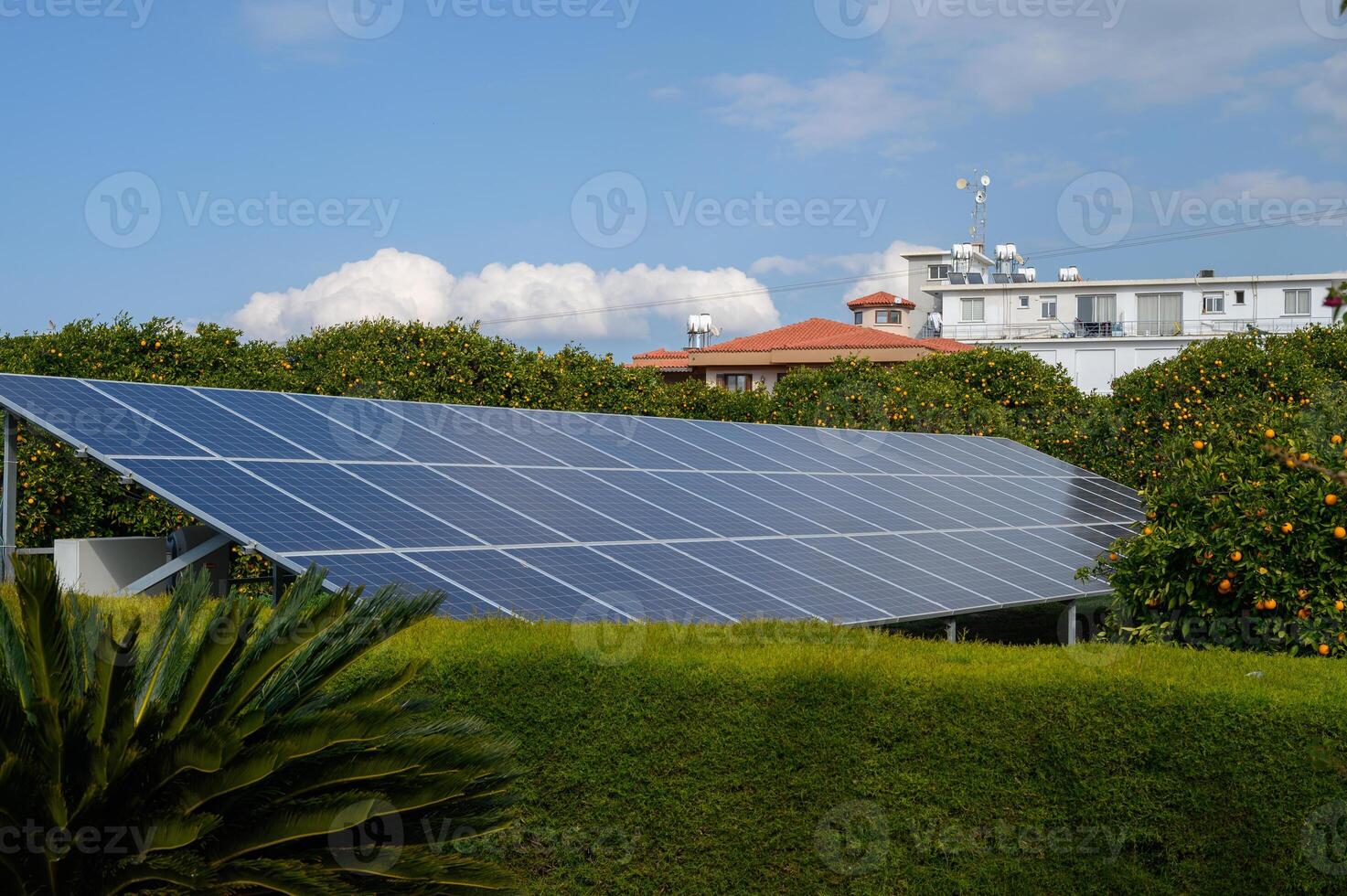 Solar panels harnessing sunlight in a vibrant coastal neighborhood during a clear day photo