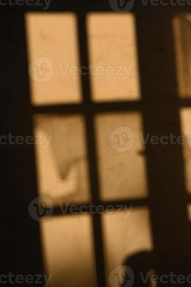 Shadows dance behind the windowpane during a warm evening glow photo
