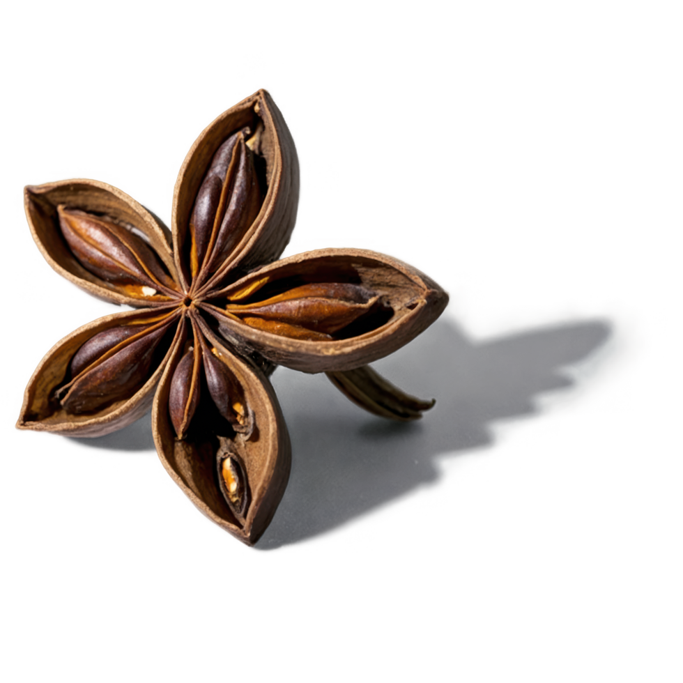 Dried star anise pod, showcasing its intricate structure and rich brown hue. png