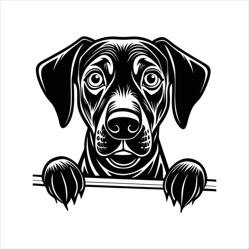 Rhodesian Ridgeback Peeking vector
