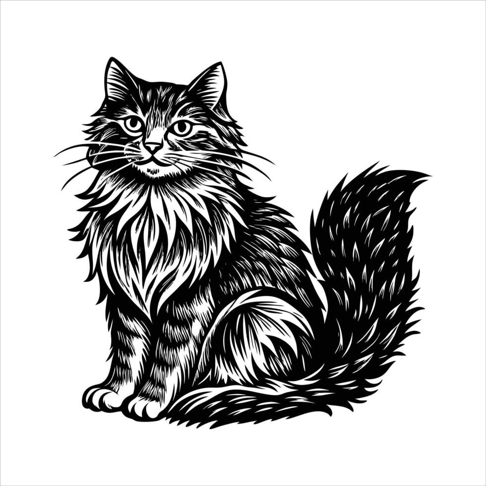 Norwegian Forest Cat Breed vector