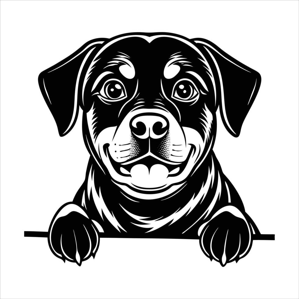 Realistic rottweiler head vector