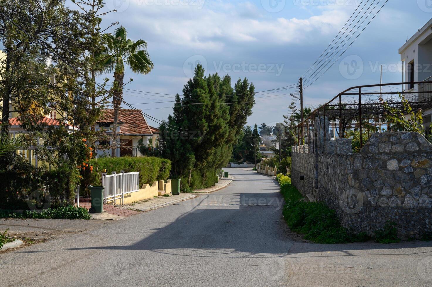 Serene streets lined with trees and gardens in a quiet neighborhood on a cloudy day photo