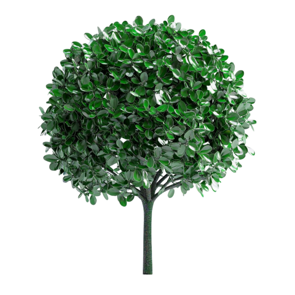 Green Leafy Tree png
