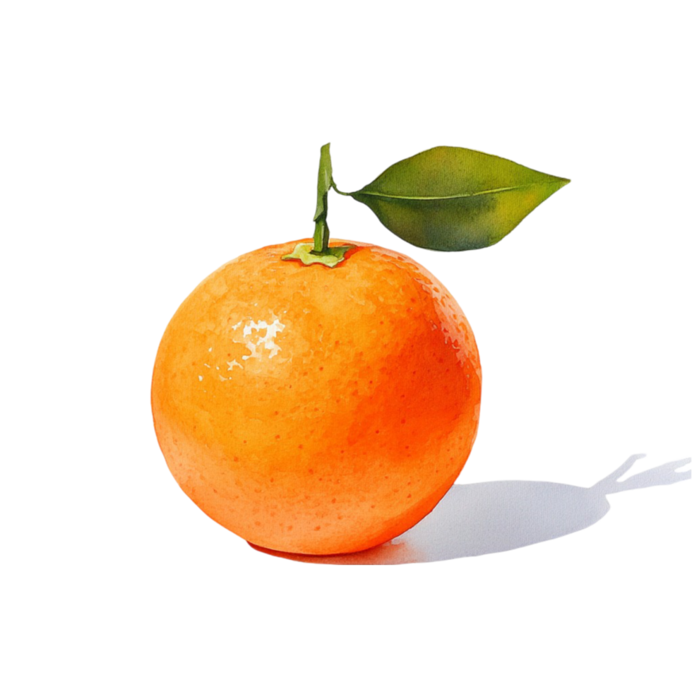 Small Fresh Orange with Green Leaf Realistic Illustration png