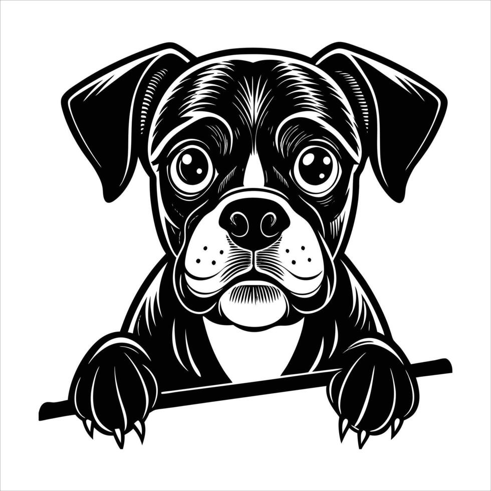 Cute Peeking Pose Boxer dog vector