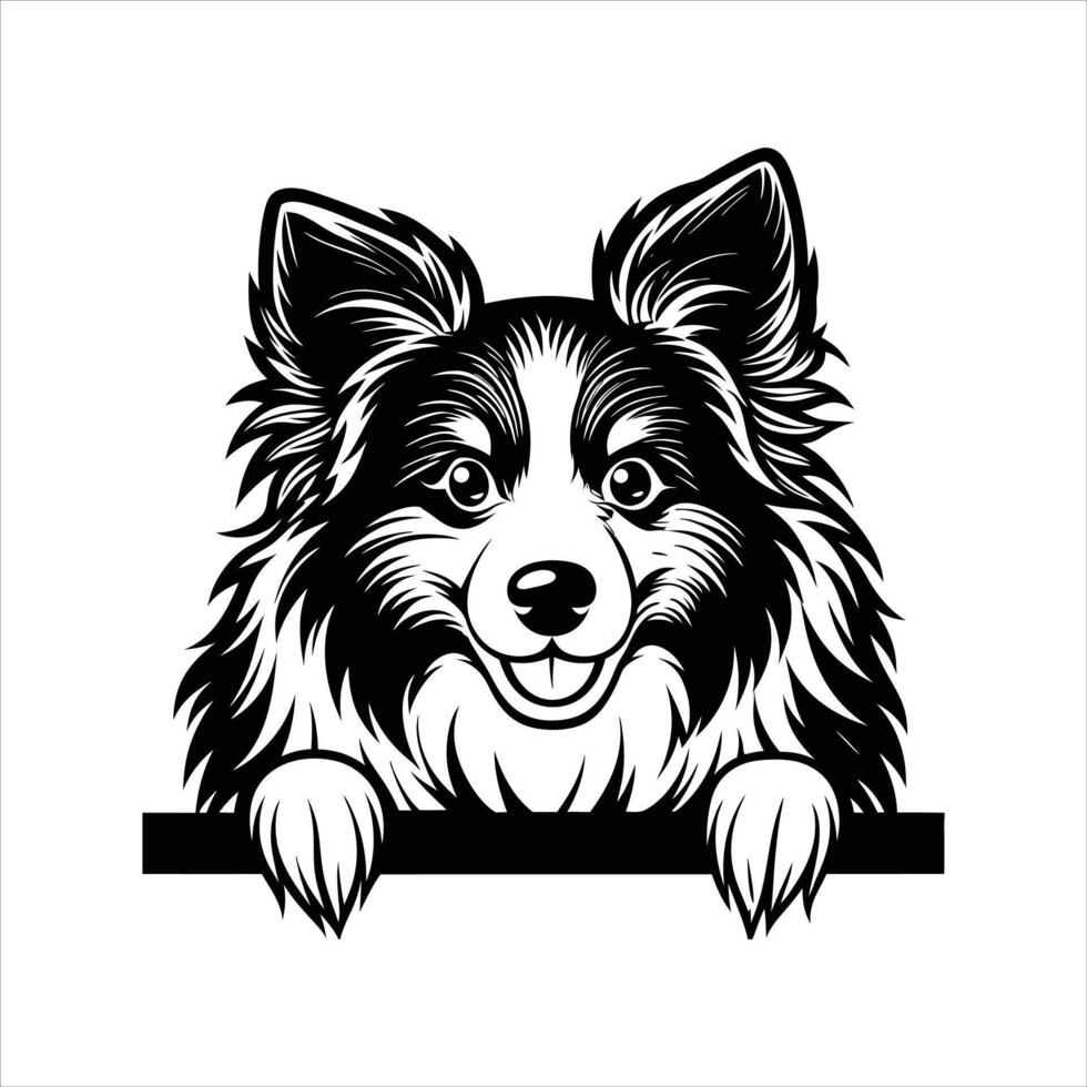 Border Collie Dog Outline vector