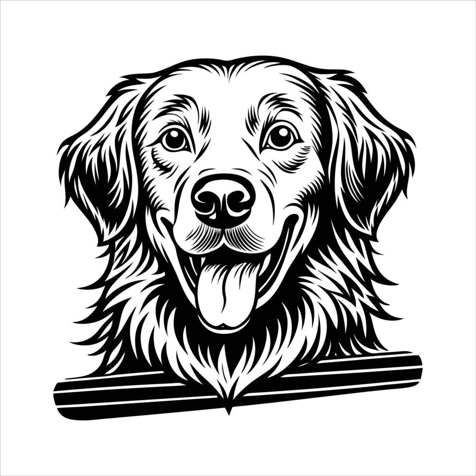 Golden Retriever Dog Breed vector