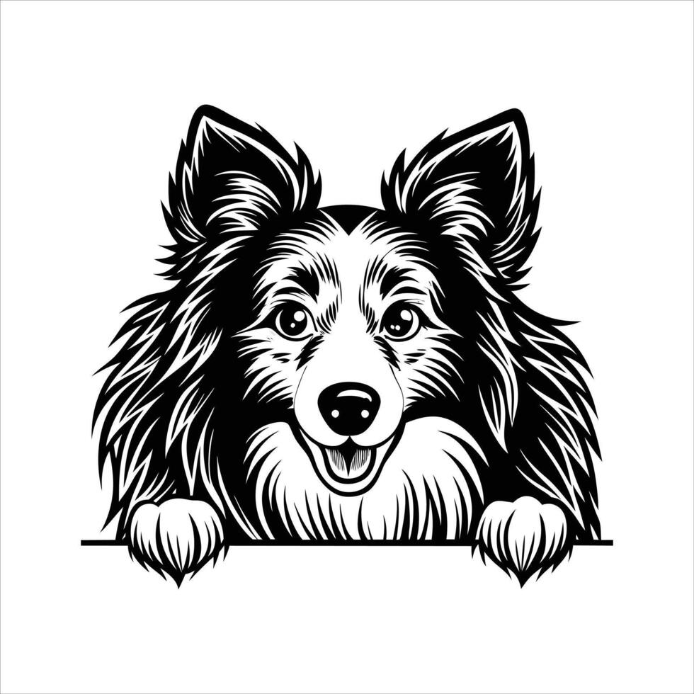 Collie rough peeking dog vector