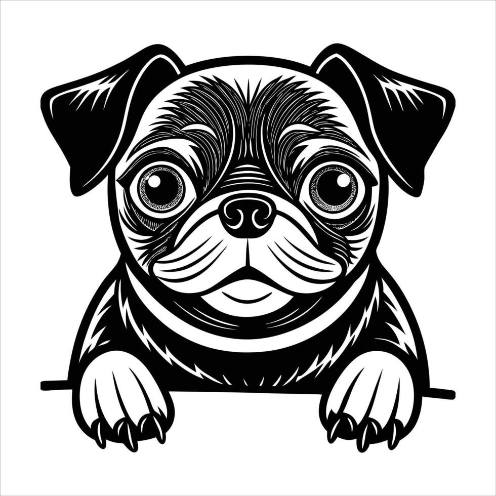 Pug Dog Puppy vector