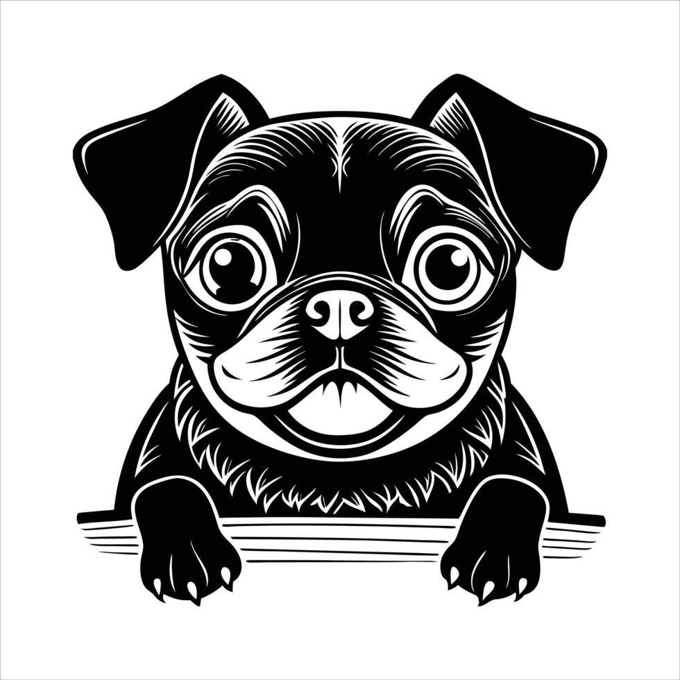 Pug Dog Breed Information vector
