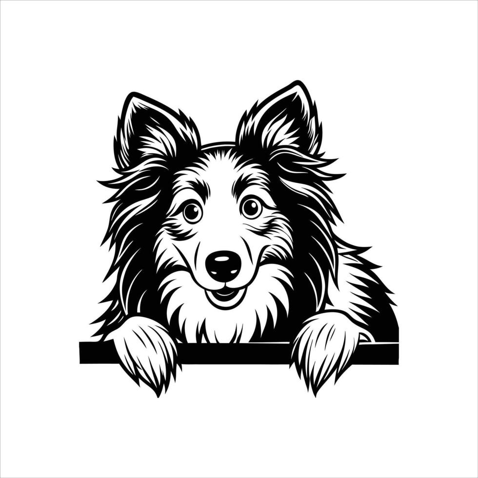 Adorable Rough Collie vector