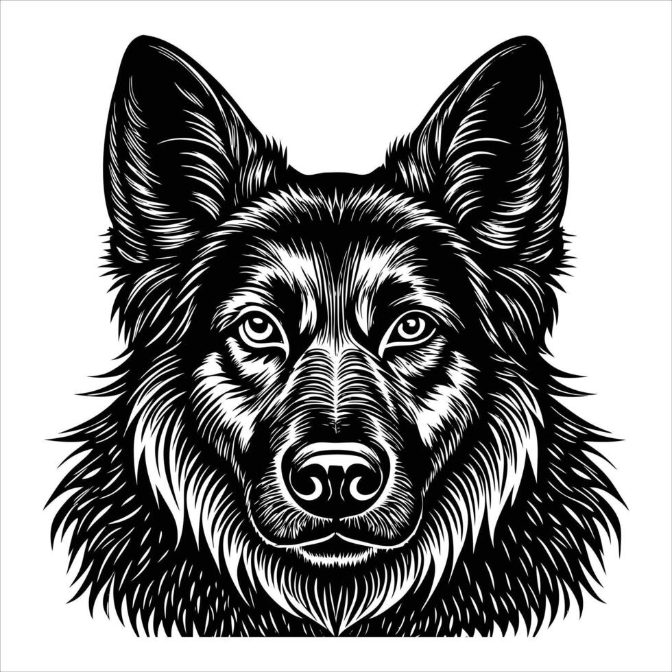 German Shepherd Head vector