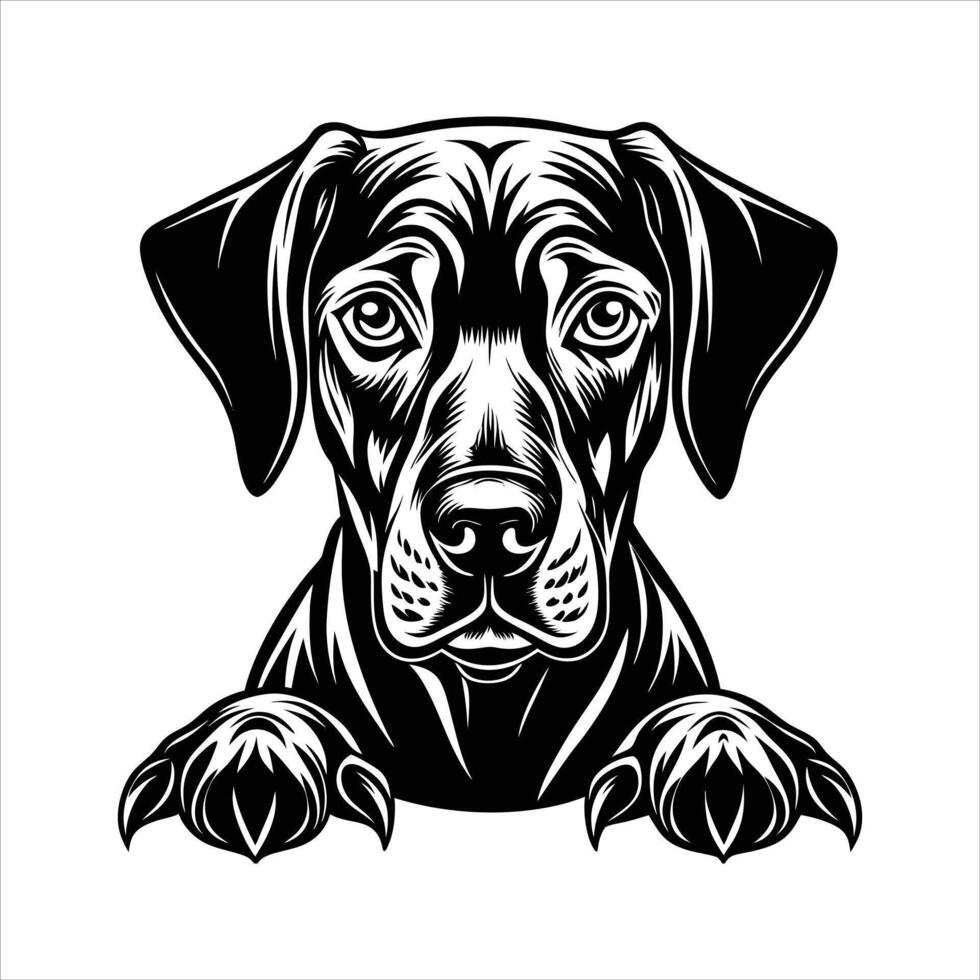 Rhodesian Ridgeback Silhouette vector