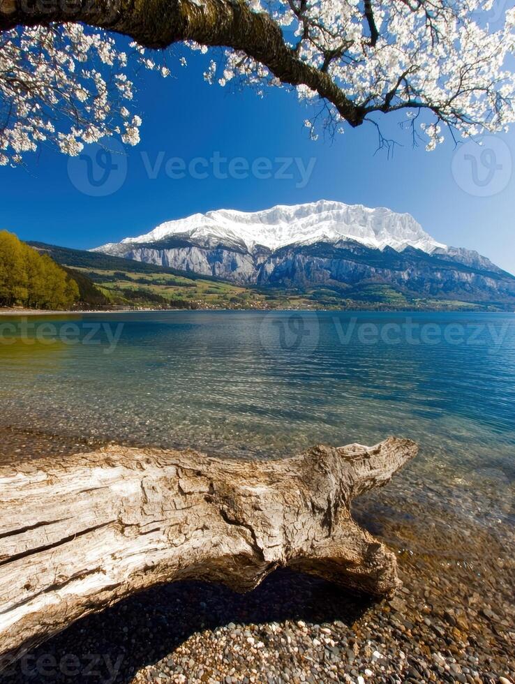 Scenic view of a mountain lake with clear water and a snow capped mountain in the background photo