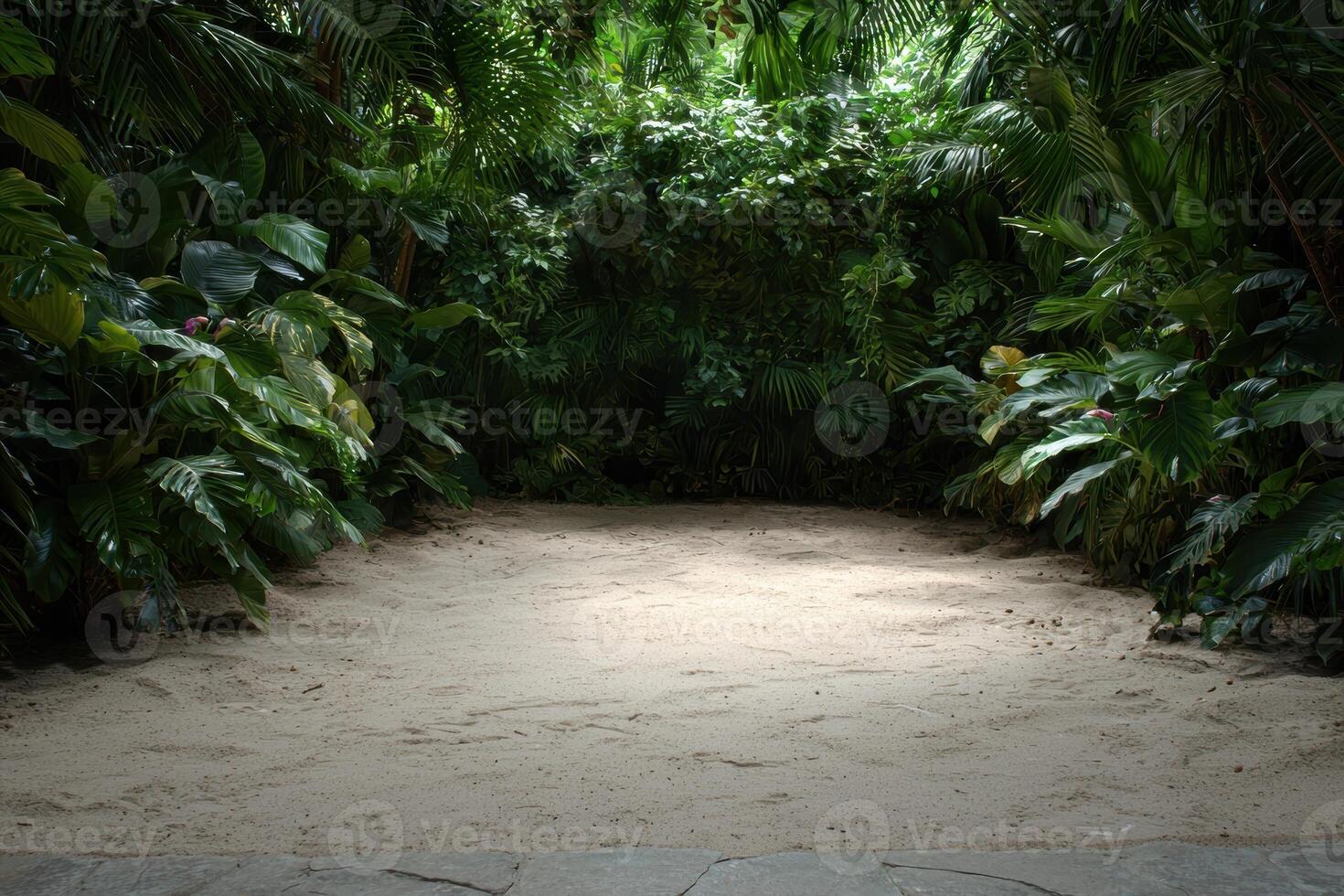 Tropical foliage and sandy clearing photo