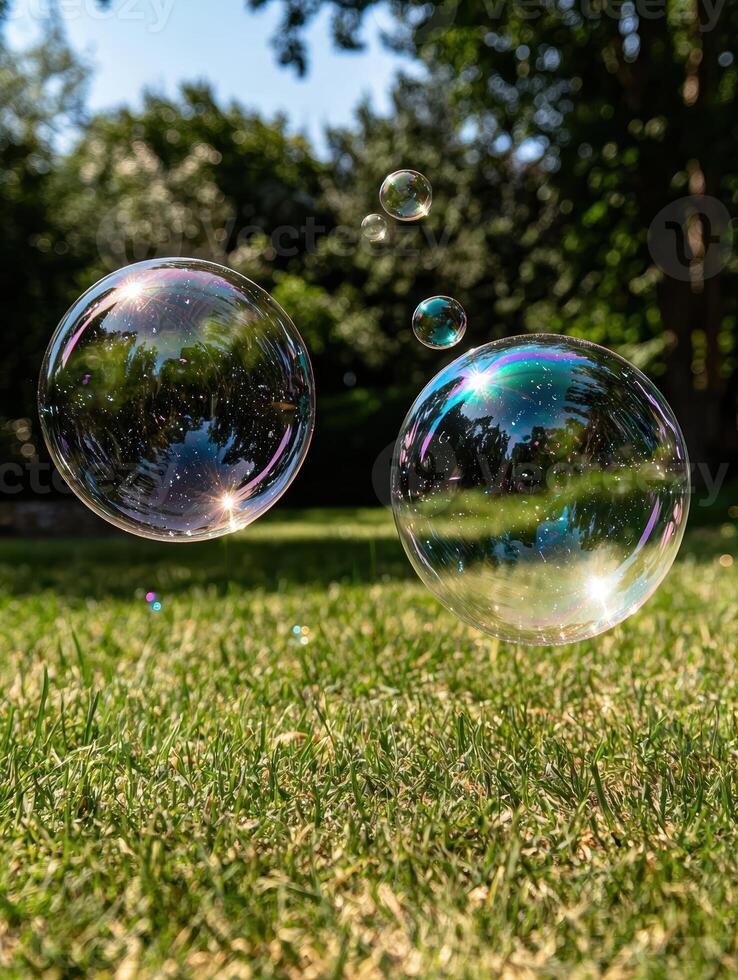 Soap bubbles floating over a lawn in the sun photo