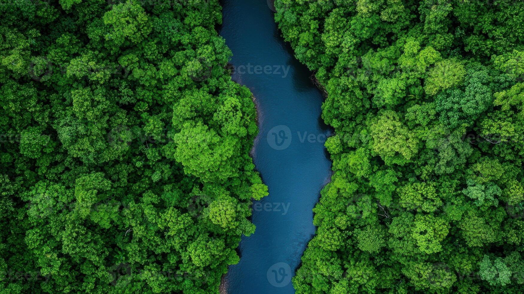 Aerial view of a river flowing through a lush green forest photo