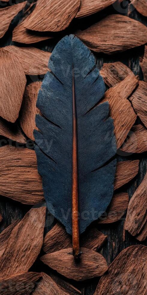 Blue feather on a bed of brown leaves photo