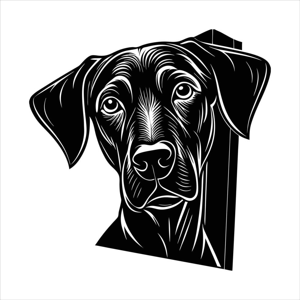 Curious Purebred Rhodesia vector