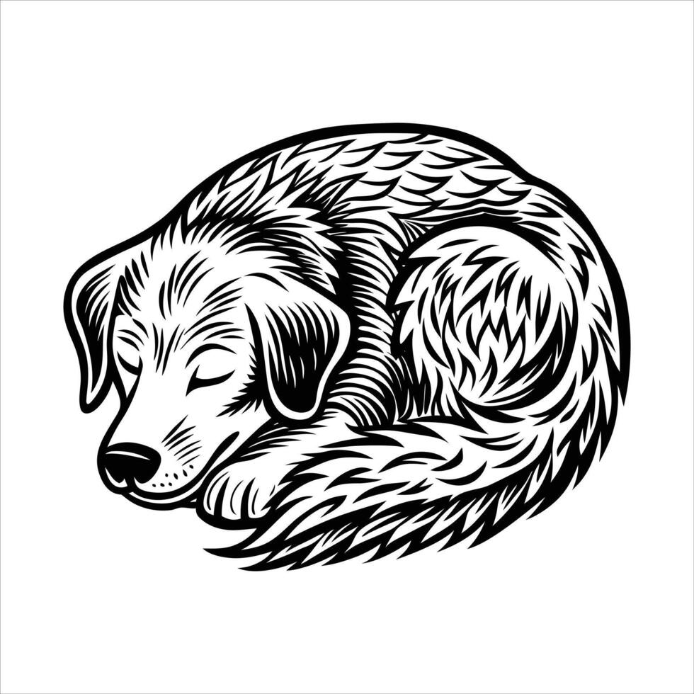 Sleeping Golden Retriever vector