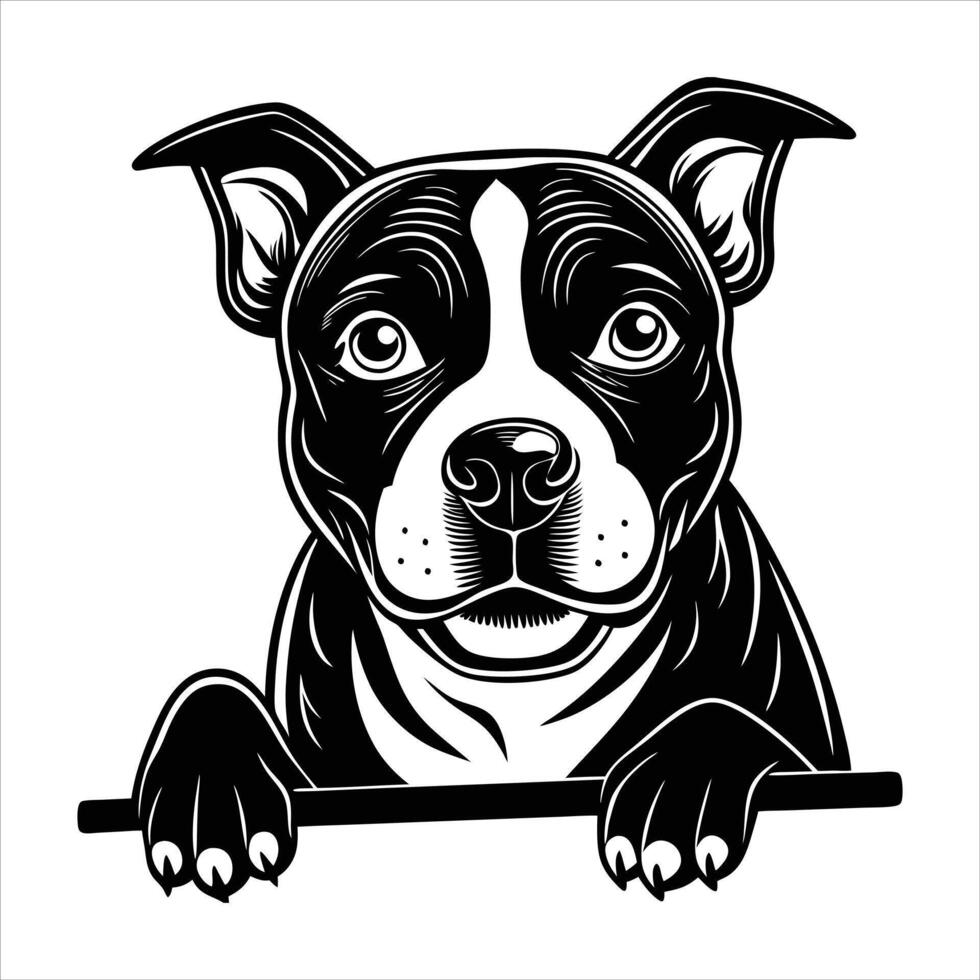 cartoon pitbull engrave vector