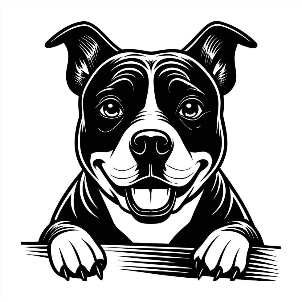 AmStaff Dog American vector