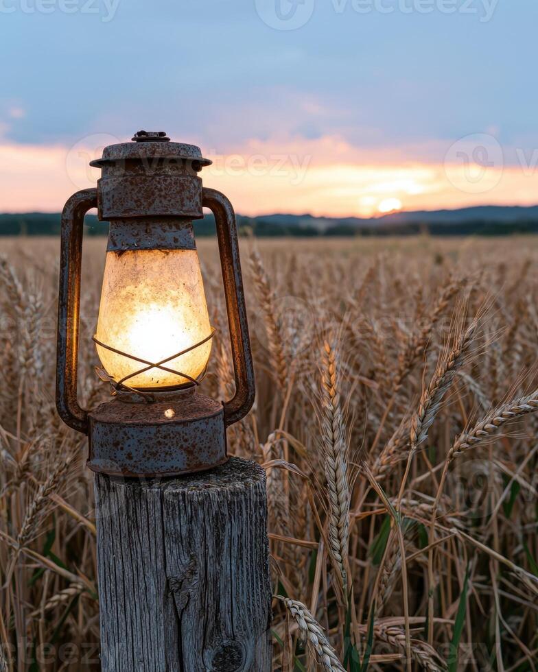 Vintage lantern glowing in a wheat field at sunset photo