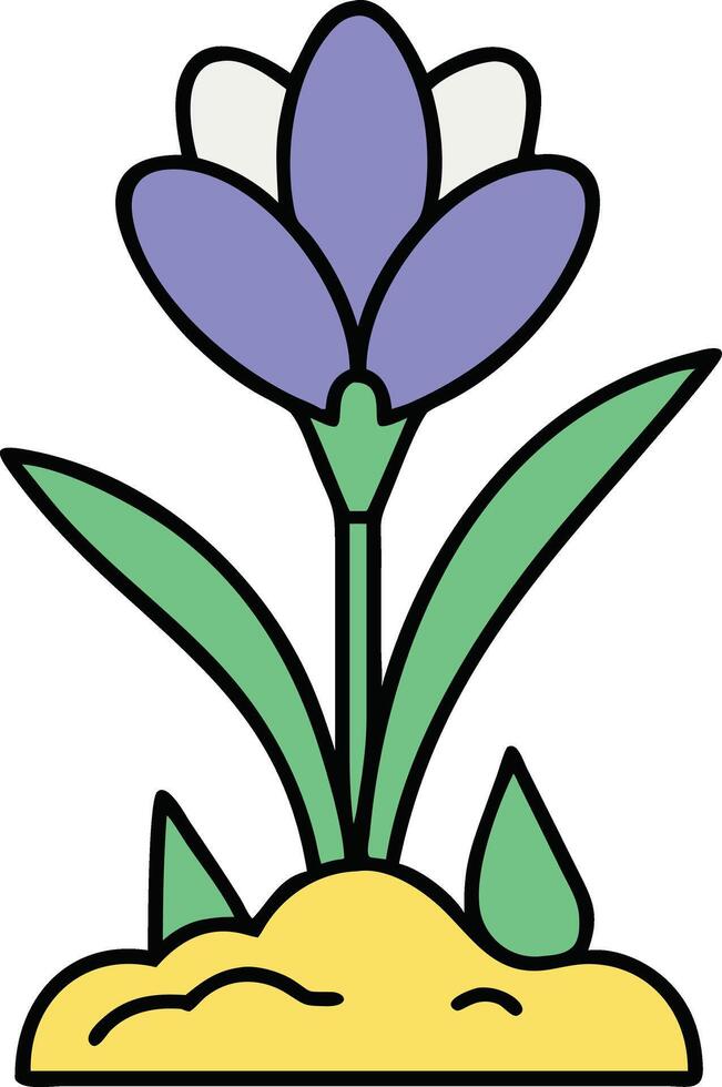Spring Crocus Flower Blooming in Garden Soil with Leaves vector