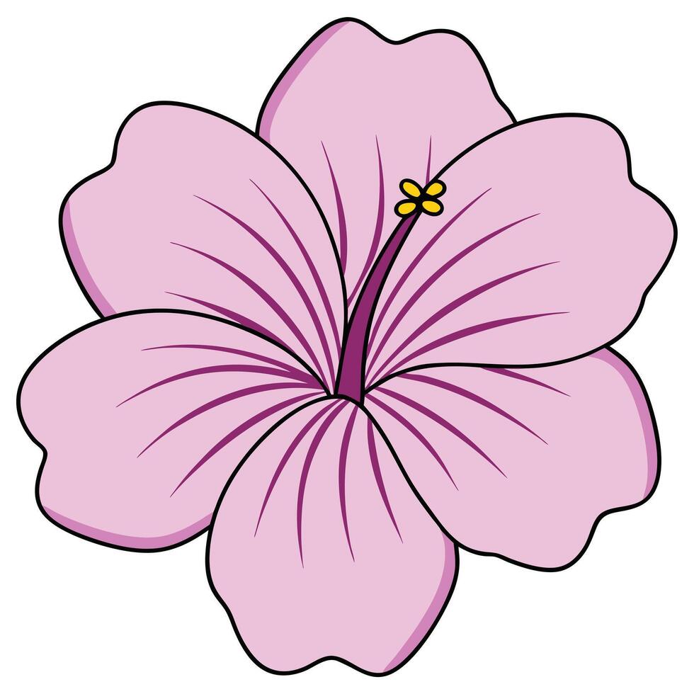 Pink Hibiscus Flower Illustration, Petals, Stamen, Blossom, Bloom, Graphic, Design, Floral, Art, Nat vector