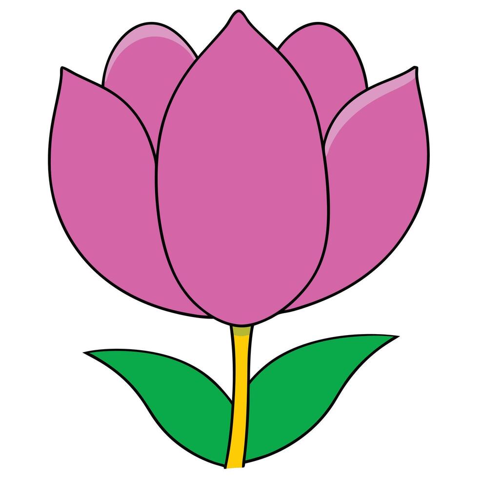 Pink Tulip Flower Illustration, Simple Drawing, Spring Bloom vector