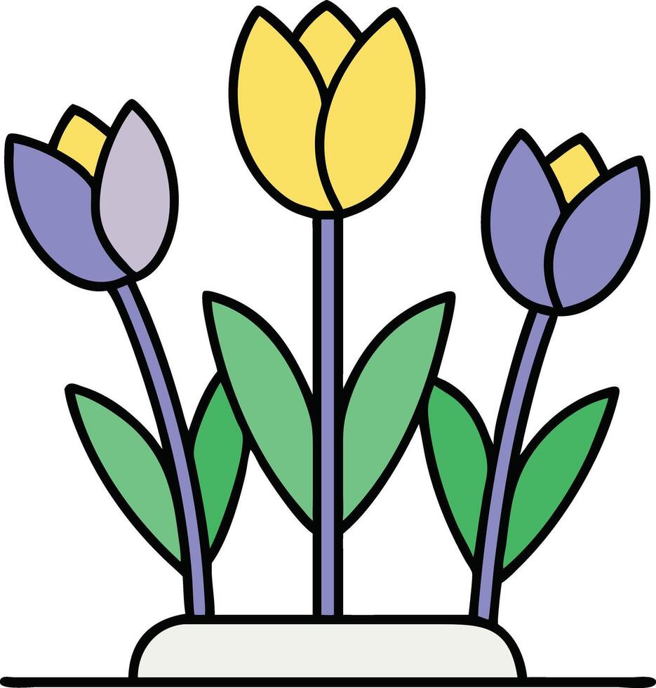Three Colorful Tulips Blooming in a Spring Garden Pot vector
