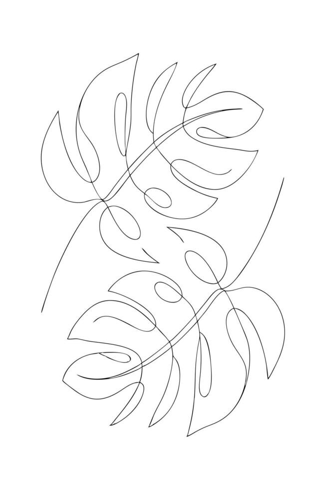 Elegant Monstera Deliciosa Leaves Line Art Minimalist Botanical Drawing vector