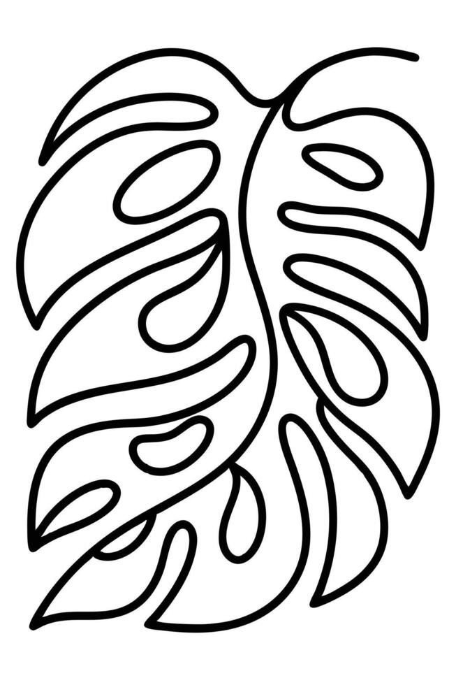 Elegant Monstera Leaf Line Art Tropical Botanical Drawing vector