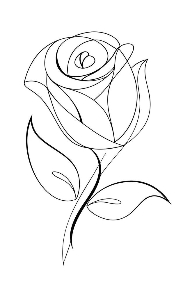 Elegant Single Line Rose Drawing, Botanical Art, Floral Design vector