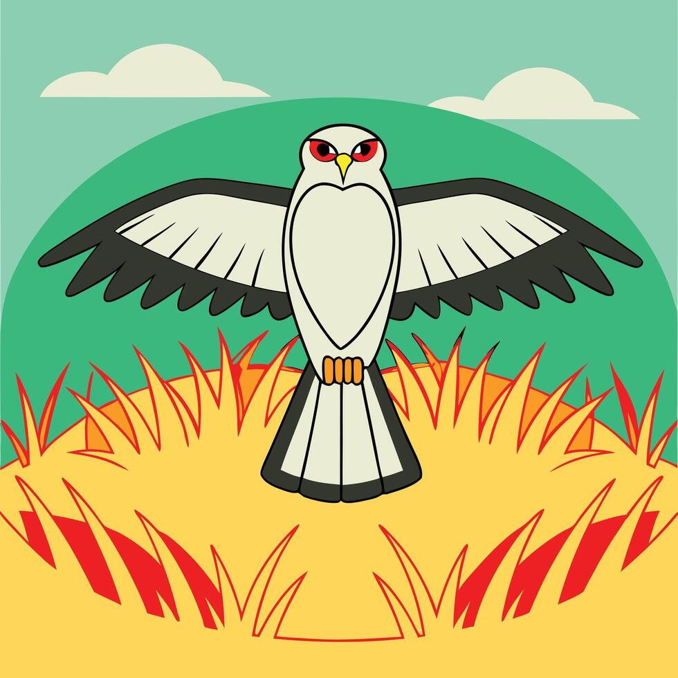 Majestic Whitetailed Kite Soaring Above Golden Grassland vector