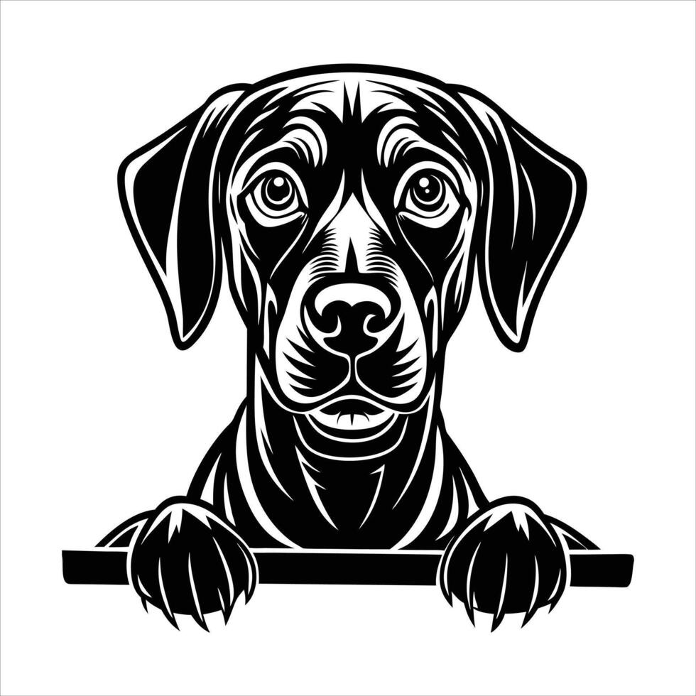 Rhodesian Ridgeback Dog Pet Animal vector