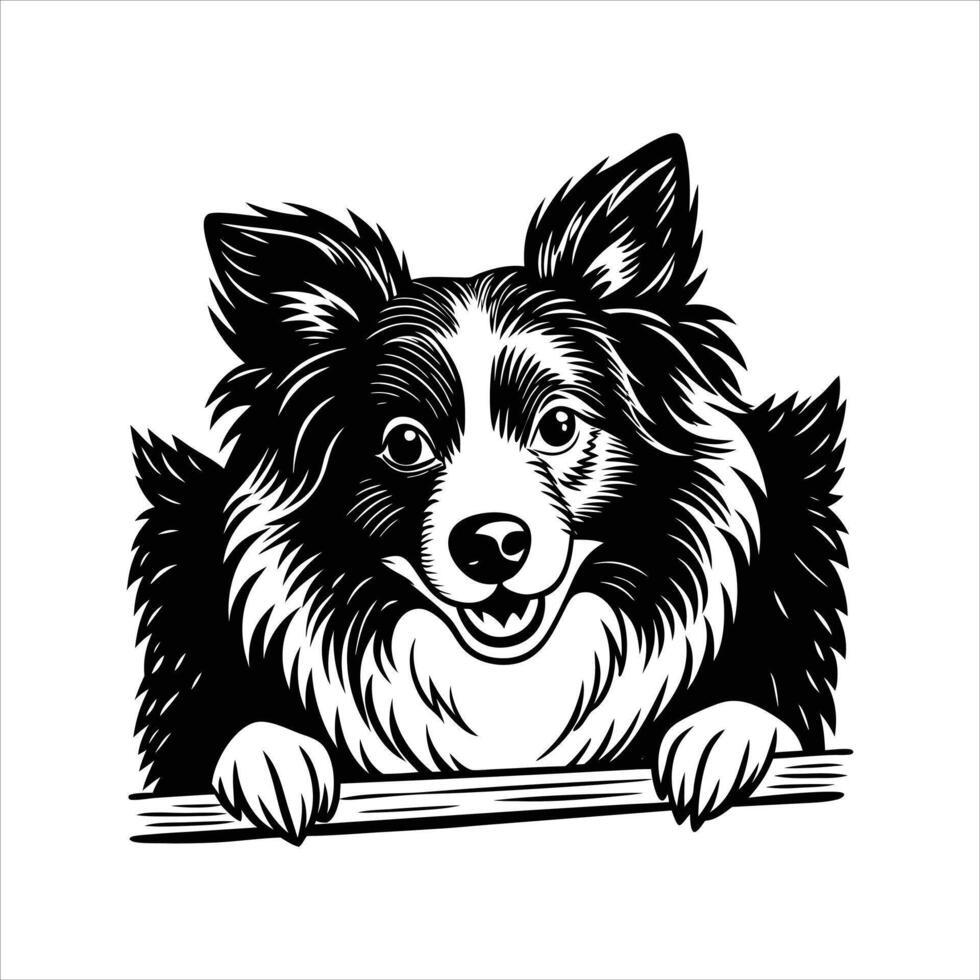 Border Collie Minimalist vector