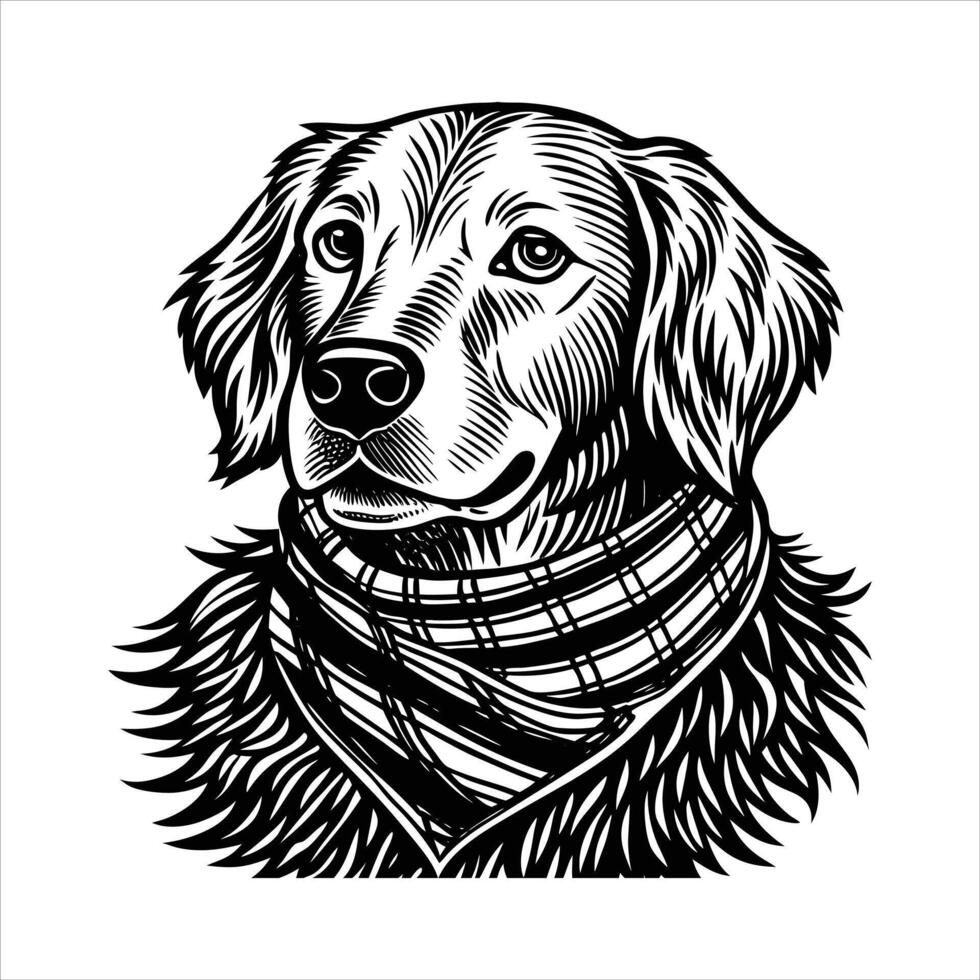 Golden Retriever With Scarf vector