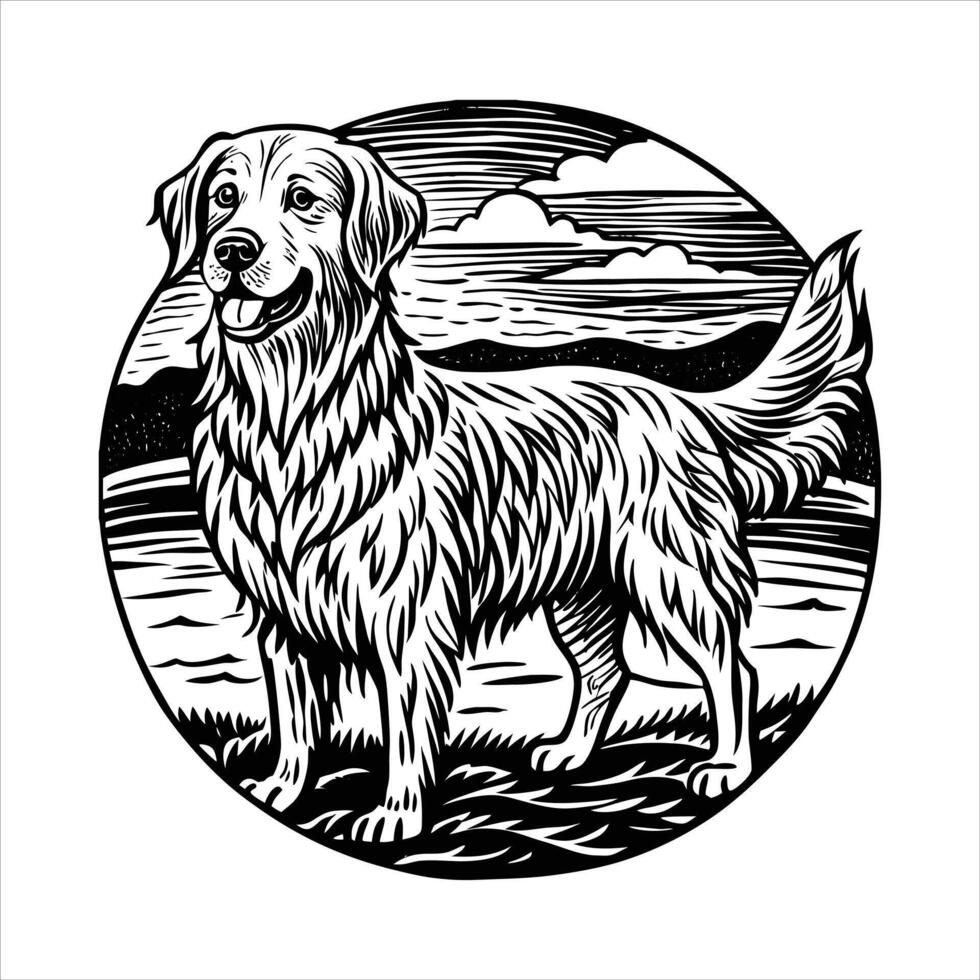 golden retriever at the beach vector