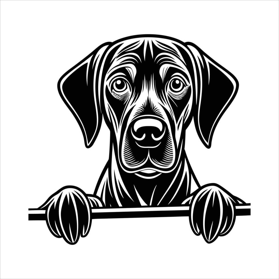 Colorful Rhodesian Ridgeback Dog vector